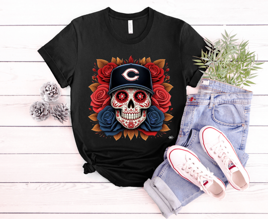 cincinnati reds